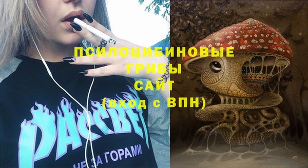 прущий лед Лагань